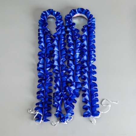 Set on the car "Guest" tape angle to the hood, 4 bow to handles, blue-1
