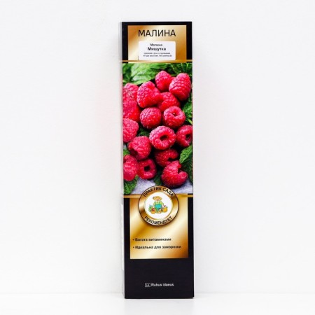 Raspberry promising varieties "Mishutka", 1 pc, tube, spring 2025