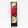 Raspberry promising varieties "Mishutka", 1 pc, tube, spring 2025