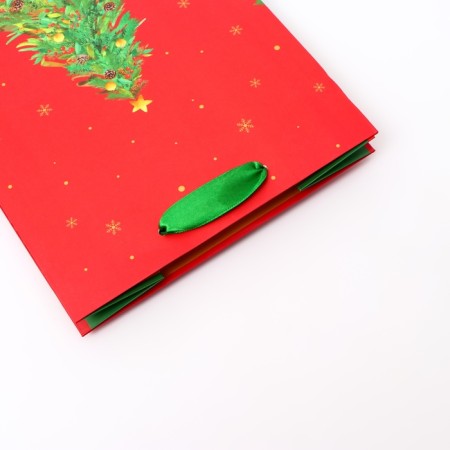 Gift Package "Christmas tree", 18 x 22.3 x 10 cm-2