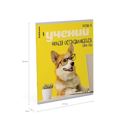 Notebook of 36 sheets in the Erichkrause Cage "Scientific Dogs", cover Combined Cardboard, Offset Block, Mix-7