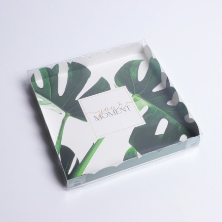 Cookie box, confectionery packaging with PVC lid, “eco”, 21 x 21 x 3 cm-1
