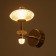 Bra "ADELARD" LED 10W 3000-6000K gold 19x13x22 cm