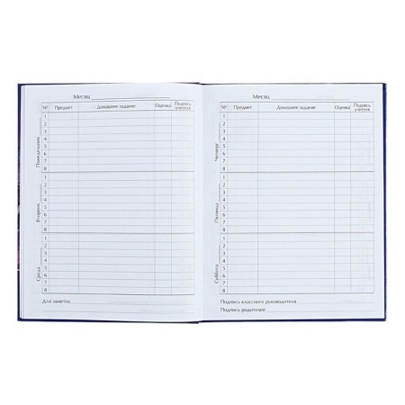 Universal diary for grades 1-11 Iceberg in the Ocean, hard cover, glossy lamination, 40 sheets-6