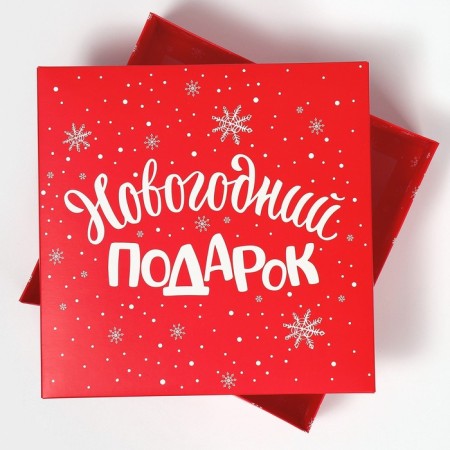 Box the team "New Year's gift", 26 x 26 x 8 cm, New Year-2