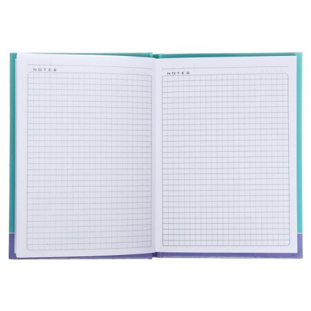 Notebook, A6, 48 sheets, in a cage, a “cat-apelsic”, glossy lamination, an offset block 60g/m2-3