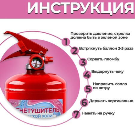 Fire extinguisher with Koligender Party paint "Girl" (raspberry) 2 l-2