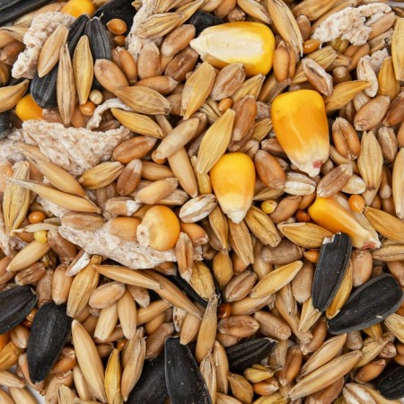 Fodge mixture "Eshka" for hamsters, with nuts, 450 g-2