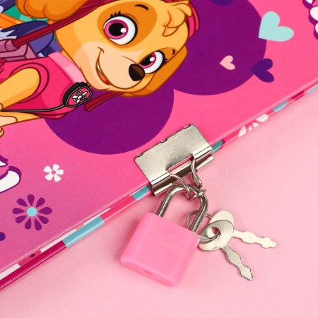 Gift set: Notebook "Sky and Everest" on the lock and pen, PAW PATROL-3