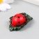 Figure for Florarium Polystone "God's cow on a leaf" mix 4.6x3x1.8 cm
