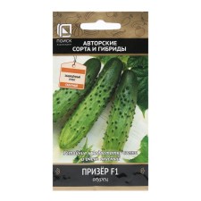 Seeds of cucumber 