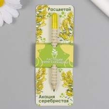 Growing gift pencils mini bloom 