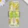 Growing gift pencils mini bloom "Silver acacia"