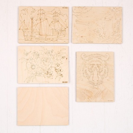 Wood burning set: EVD 20/220 "Disabilities 10k"-5