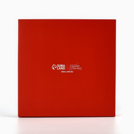 Box for Musser cakes "Fun", 17.8 x 17.8 x 6.5 cm, New Year-4