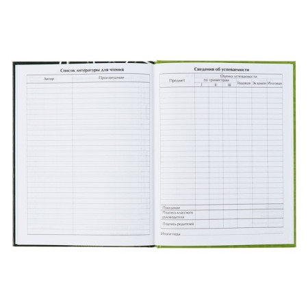 Universal diary for grades 1-11, "football", solid cover 7BC, glossy lamination, 40 sheets-8