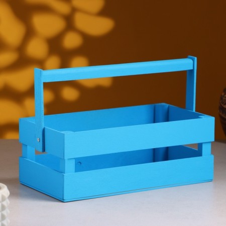 Wooden Kashpo 24.5 × 13.5 × 9 cm "Two Light", two -string, blue giving beautifully