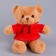 Soft toy "Bear" in a sweatshirt, 28 cm, color mix