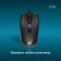 Mouse call 325M Black optical (1200DPI) USB for a laptop (3but)