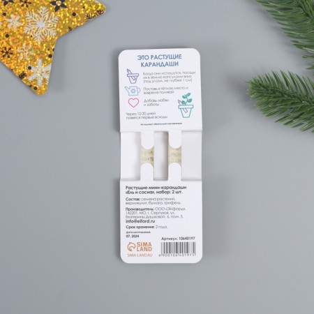 Growing gift pencils mini "blue spruce + pine" set 2 pcs.-2