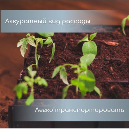 Set for seedlings: plastic inserts on 16 cells, 130 ml, plastic black pallet, 26.5 × 26.5 × 3 cm-6