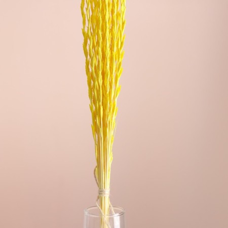 Set of dried flowers "Raigrace", banch 21 pcs, length 60 (+/- 6 cm), yellow-1