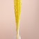 Set of dried flowers "Raigrace", banch 21 pcs, length 60 (+/- 6 cm), yellow