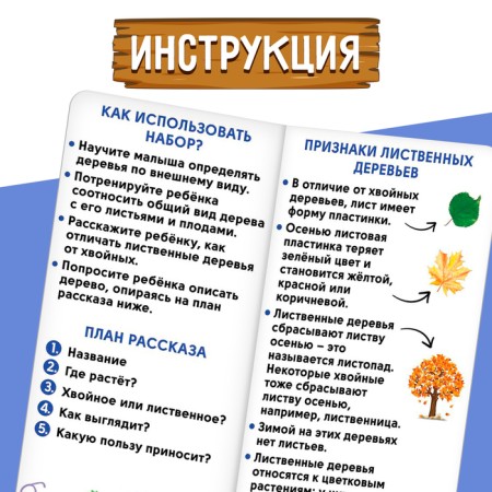 Developing set "coniferous and deciduous trees"-5