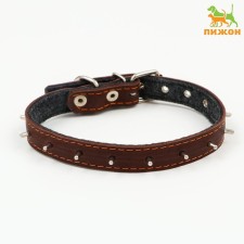Leather collar on synthetic winterizer, with spikes, 2 x 40 cm, Osh 25-35 cm, dark brown