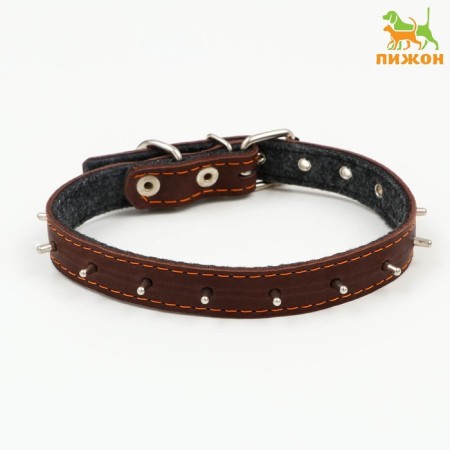 Leather collar on synthetic winterizer, with spikes, 2 x 40 cm, Osh 25-35 cm, dark brown