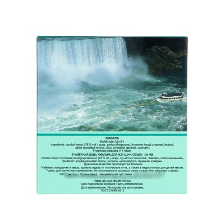 Women's toilet water Genty "Niagara", 100 ml-4