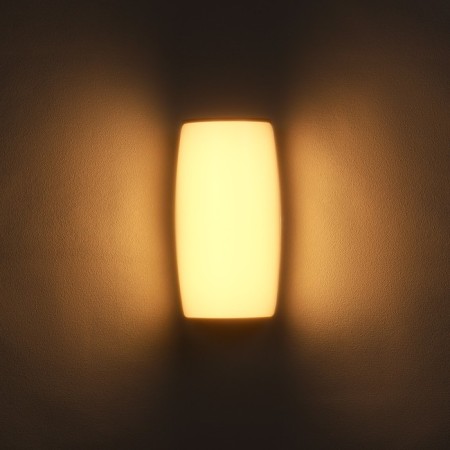 Facade lamp "Lights", FSD-077, 24 W, 3000K, IP65, 220 V, plastic, black-2