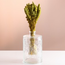 Set of dried flowers 