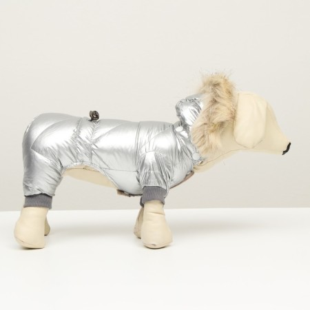 The overalls "boy" with a weight, size 12 (ds 28 cm, og 38 cm, Osh 27 cm), silver-2