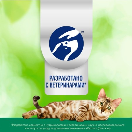 Wet feed Perfect Fit immunity for cats, beef, linen, spider, 75 g-10