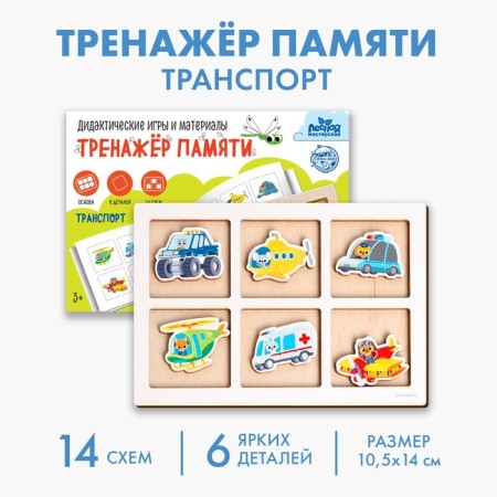 Memory Transport Memory