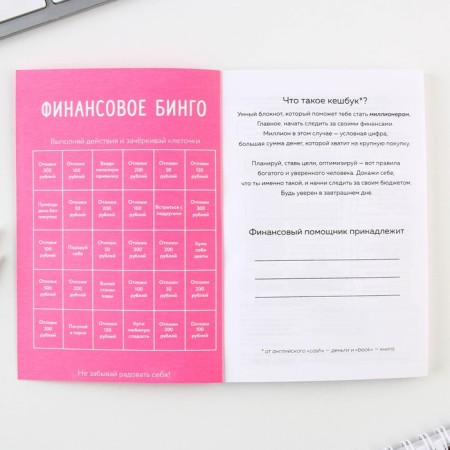 Smart notebook for planning finance "Sclerotzer", A6 format, 68 sheets.-2