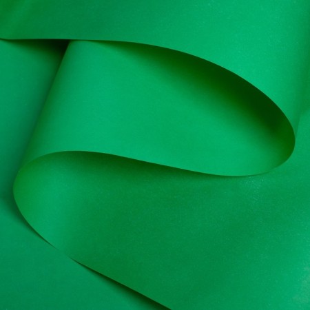 Paper for decor and floristry, craft, bilateral, herbal, green, plain, roll 1 pcs., 0.5 x 10 m-1