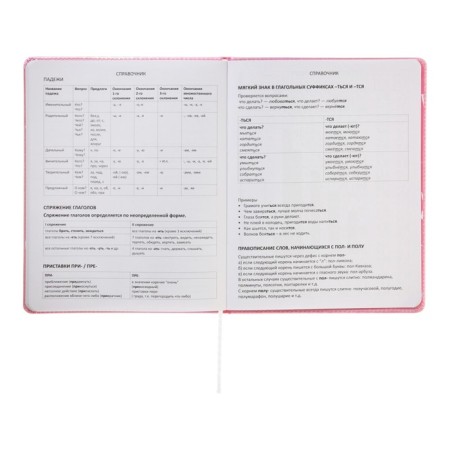 Universal diary for the 1-11 grade Forget Trubles, solid cover, artificial leather, silkography, lies, 80 g/m2-10
