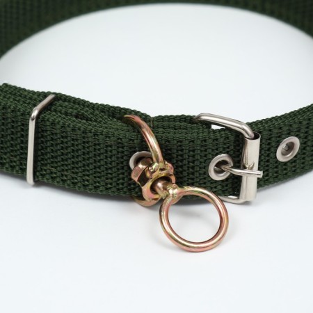 Two -layer collar with a swivel, 3 cm, green-2