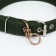 Two -layer collar with a swivel, 3 cm, green