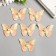 Decor for creativity Textile Embroidery "Blobo yellow-orange" double wings 5x6 cm