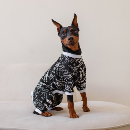 Combines for animals “Dreams”, L (DS 39, Osh 36-38, OG 60-62), Black-5