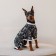 Combines for animals “Dreams”, L (DS 39, Osh 36-38, OG 60-62), Black