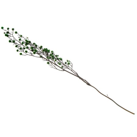 Dry flowers “Molokhay Mile”, 25 g, length - 70 cm, green color-3