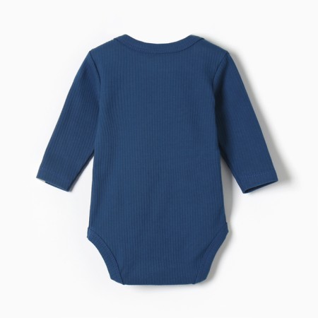 Body with DL. Sleeve crumb I am Blueberry p. 80-86, blue-4