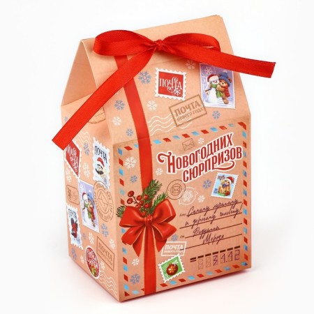 Packaging for confectionery "New Year's surprises", 8 x 10 x 16 cm, New Year-1