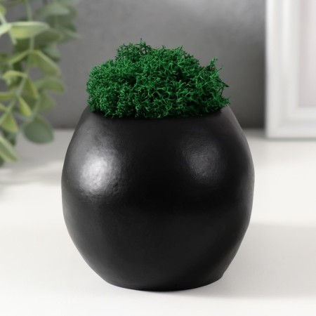 Concrete Kashpo "Skull Money" with moss 7x11 cm black with golden teeth (moss green stabil)-2