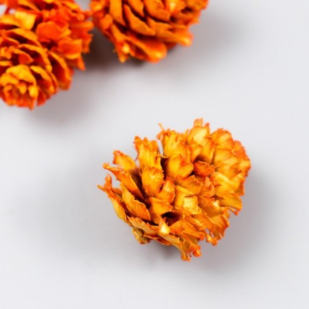 Decor for creativity "Pine orange bump" size 2-4 cm-1