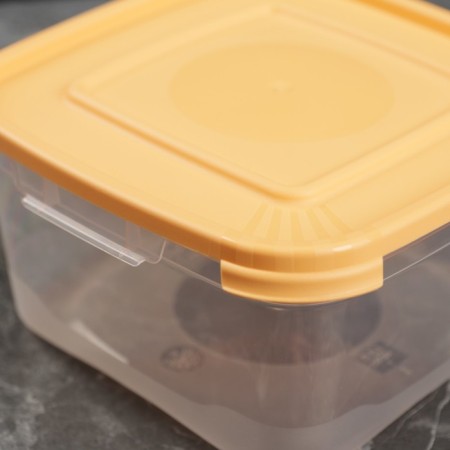 A set of food containers "Cascade", 2 pcs: 460 ml, 1 l, color mix-6